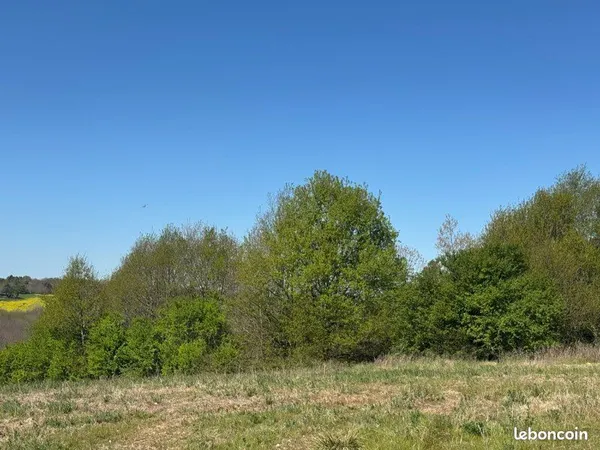 Terrain à bâtir