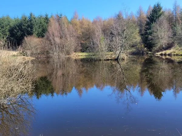 Plan d'eau Vente Aboën   120€