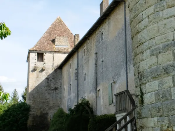 Vends demeure de caractère avec tours médiévales - 390m² - 11 pièces - 8 chambres - Sud Deux-Sèvres