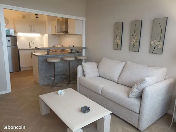 Appartement F2 46m2 entièrement rénové