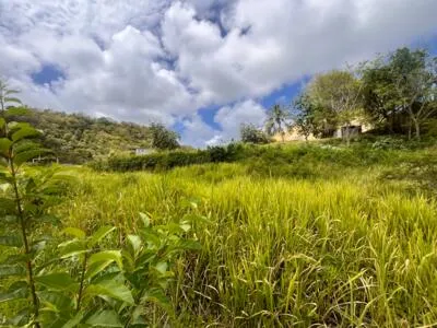 TERRAIN CONSTRUCTIBLE 500 M2 GOSIER