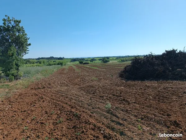 Terrain agricole