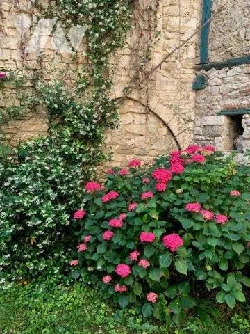 Photo 30