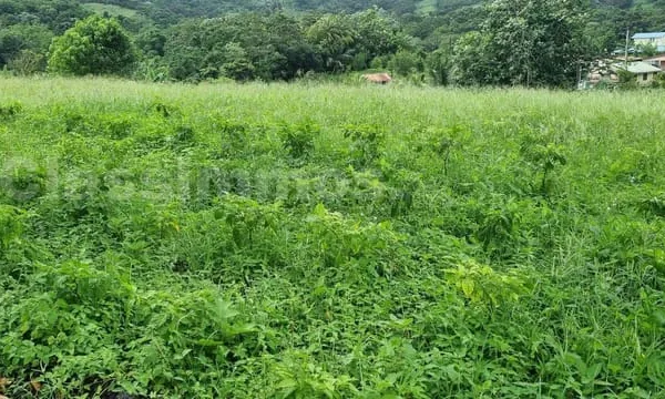 Terrain constructible 5380 m²