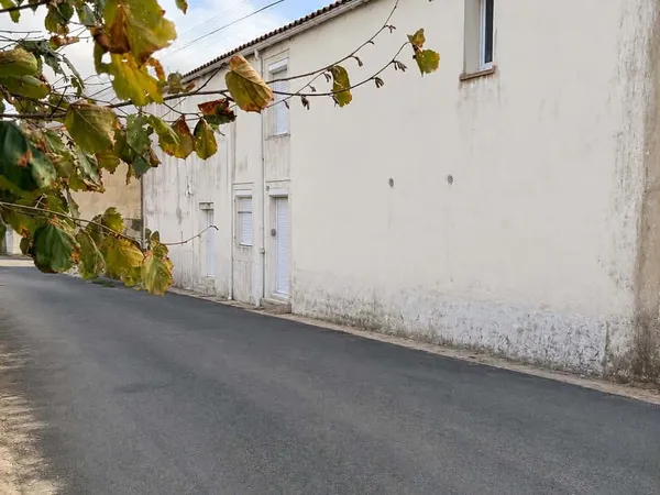 Maison divisible en deux logements, 180m2, 6 chambres