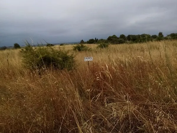Terrain agricole