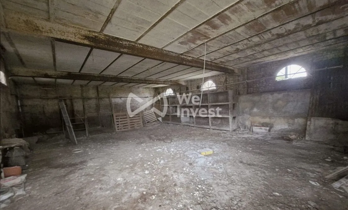Photo 5