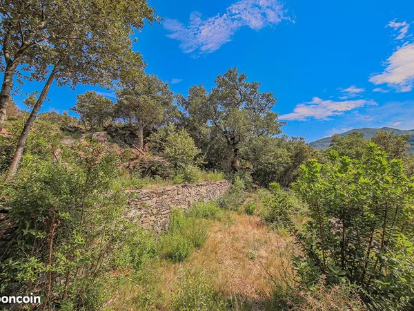 Terrain 1408 m² SANTA MARIA DI LOTA