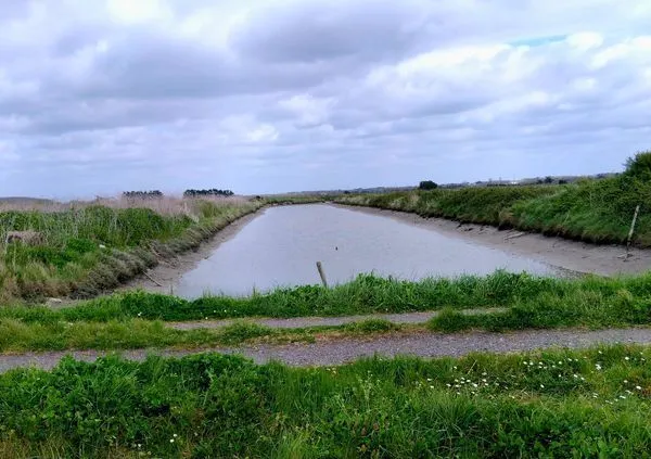 MARAIS SALANTS ST HILAIRE DE RIEZ