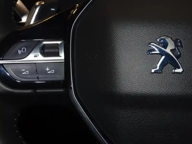 Peugeot 3008 1.5 bluehdi 130ch s&amp;s active pack eat8 — photo 14