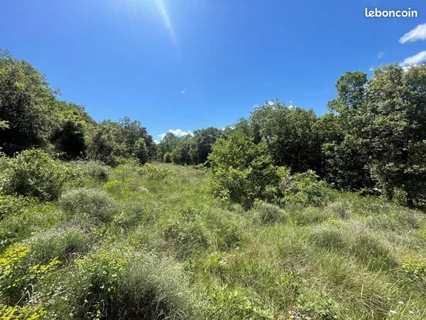 Terrain 1 336 m² Saint Montan