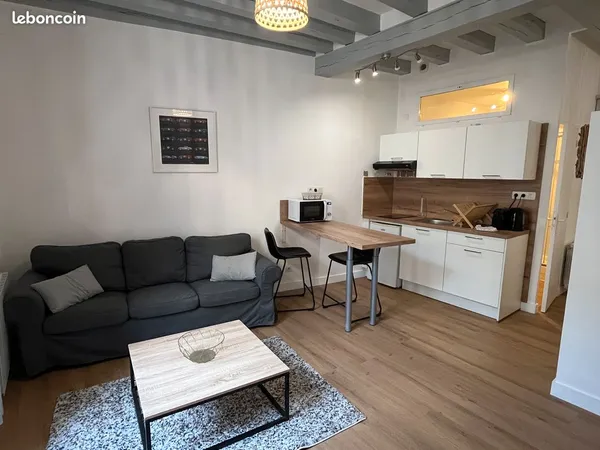 T1 bis 30m² - Vieux Mans - Renové - Entièrement meublé et équipé - Hyper centre