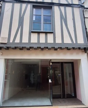 Local 220 m² Sens