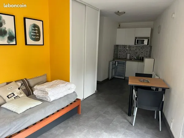 Studio meublé 23m2 + Terrasse 14 m2 - Proche fac et tram