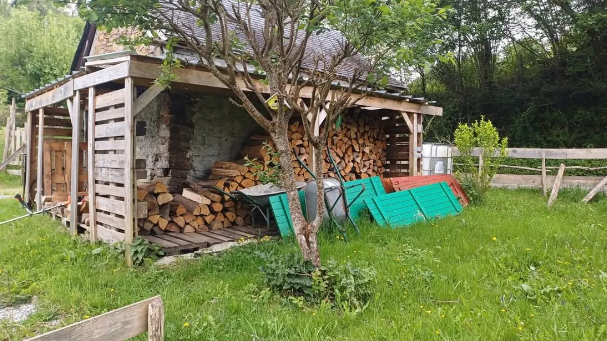 Photo 19