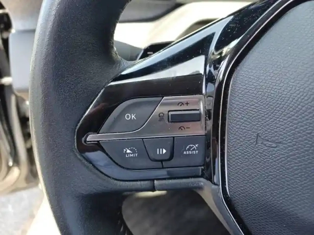 Peugeot 308 sw phev 180 e-eat8 — photo 19