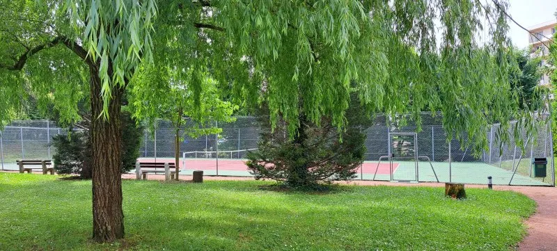 Photo 2
