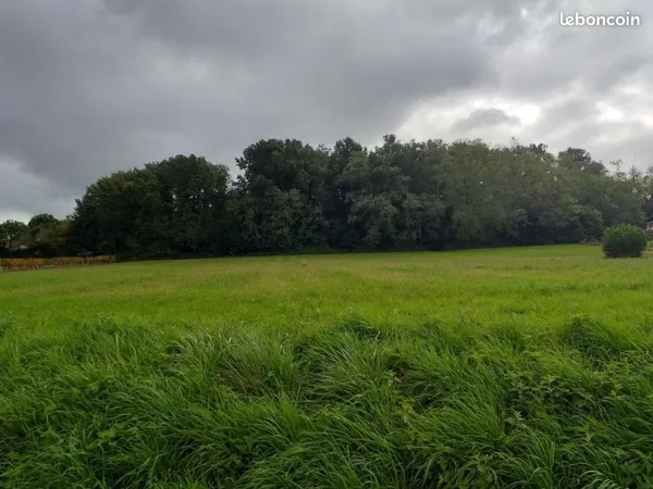 Terrain 740 m² Romagne
