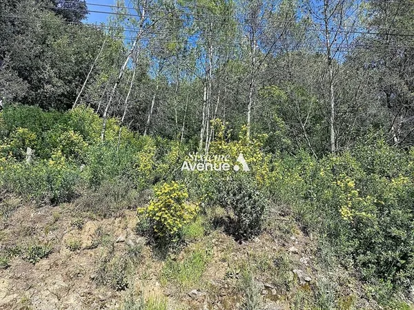 Terrain Grasse 1347m2