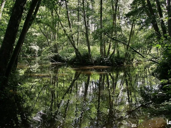 Emplacement van aménagé