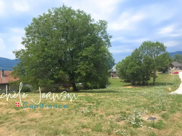 Terrain 805 m²