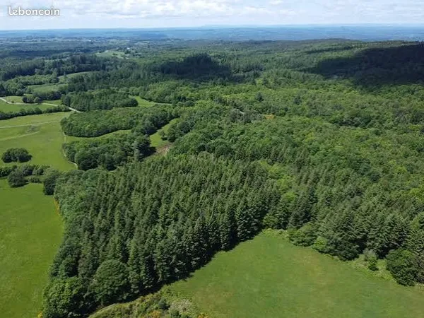 Terrain Domaine Forestier