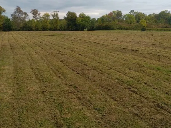Terrain Agricole ou autre