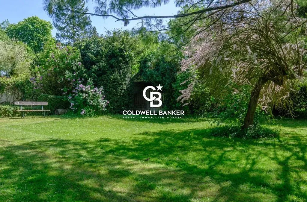 Photo 31