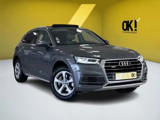 Audi Q5 2.0 tdi 163 design luxe quattr — photo 7