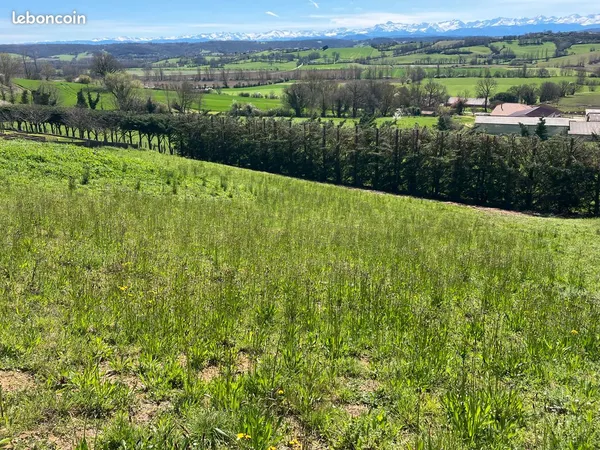 Terrain 2 781m²