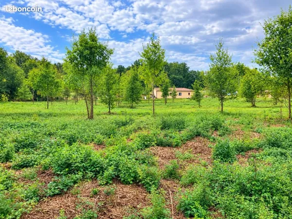 Terrain 5 771 m² Larzac
