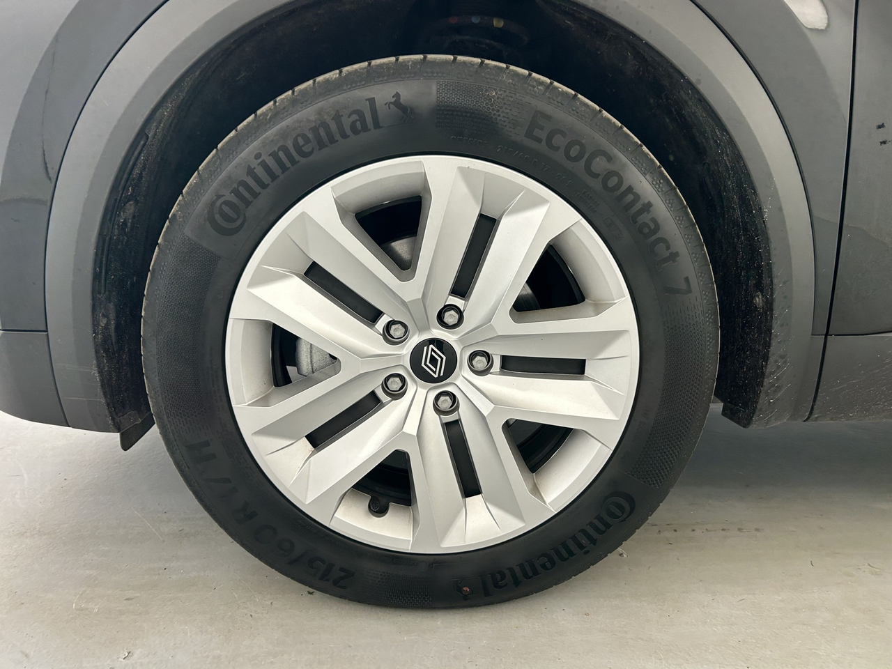 Renault Symbioz — photo 20