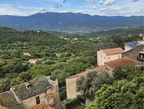 Appartement en location Oletta