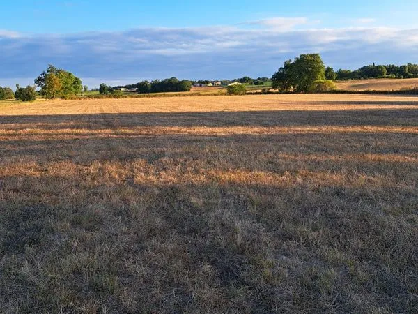 Vends terres agricoles en prairies 2.5 ha