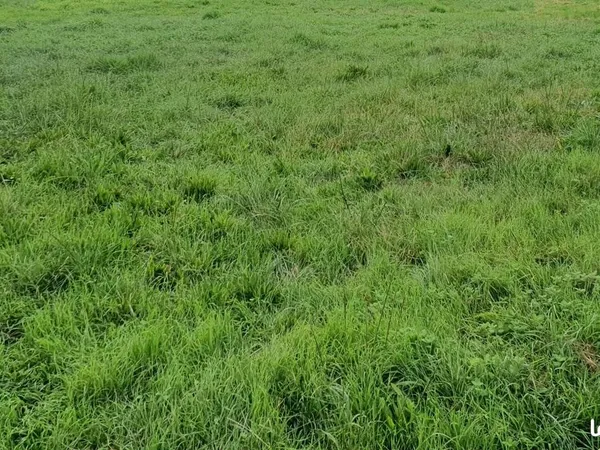 Terrain 430 m² Hourtin