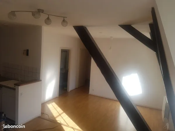 Duplex 3 pièces soufflenheim