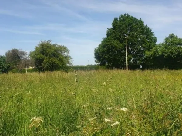 Terrain 1046 m²