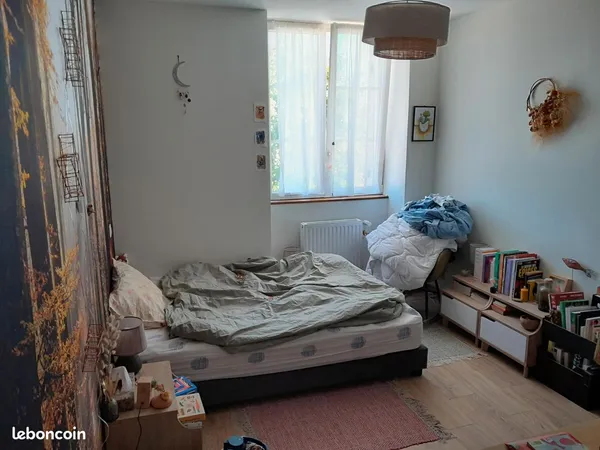 Grande maison joyeuse cherche habitant.e