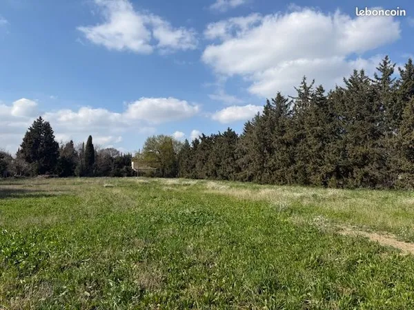 Avignon-Montfavet terrains à bâtir viabilisés