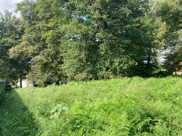 Terrain 1730 m²
