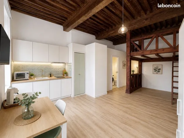 Studio avec mezzanine