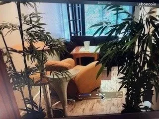 Appartement 2 pièces 32 m²