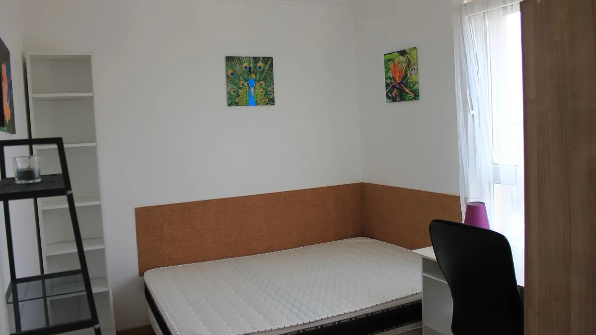 Photo 3