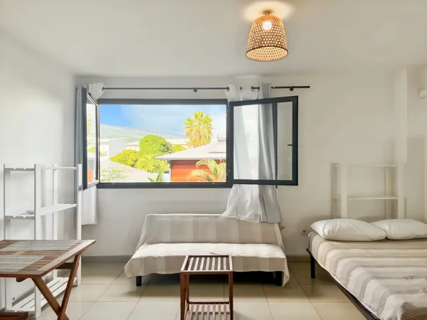 Appartement 1 pièce 25 m²