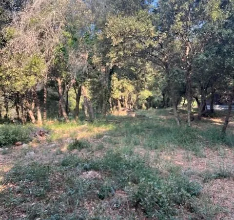 Beau terrain limitrophe Biot/Valbonne exposé plein SUD dans un environnement résidentiel