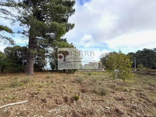 Terrain 2196 m²