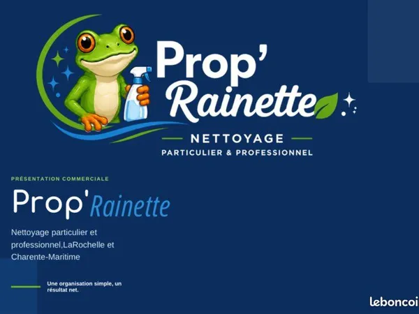 Menages pour professionnels ou particuliers