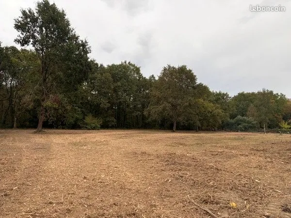 🌳 Un grand terrain pour réaliser votre projet