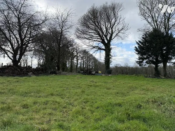 Terrain 538 m²