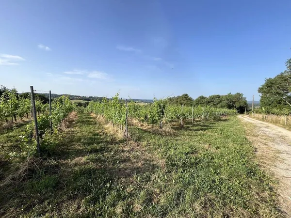 Terrain 20000 m²